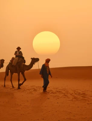 Camel caravan in the desert.