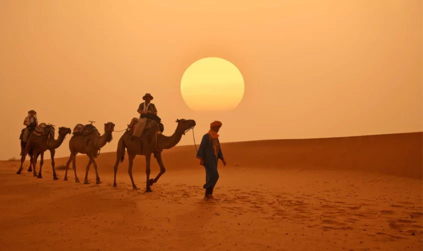 Camel caravan in the desert.