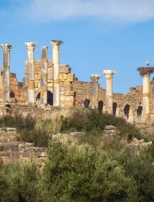 Roman ruins of Volubilis in Morocco
