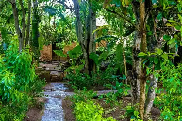 The tropical gardens of Sala Colonia, aka Chellah in Rabat