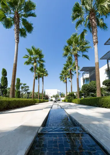 Von Palmen gesäumter Weg mit dekorativem Wasserspiel und angelegten Gärten in einem Hotel in Rabat, Marokko.