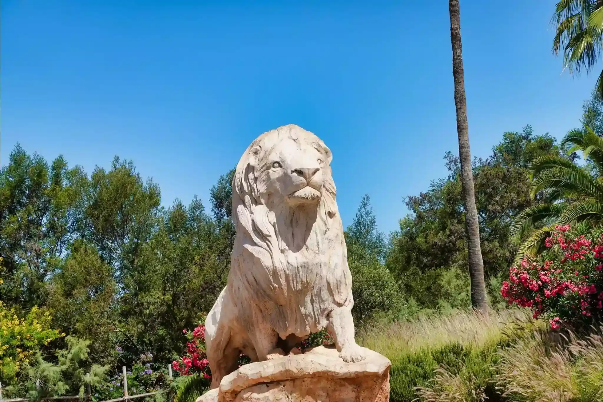 Statue of an Atlas Lion in The National Zoo of Rabat, symbol of Morocco’s National Pride